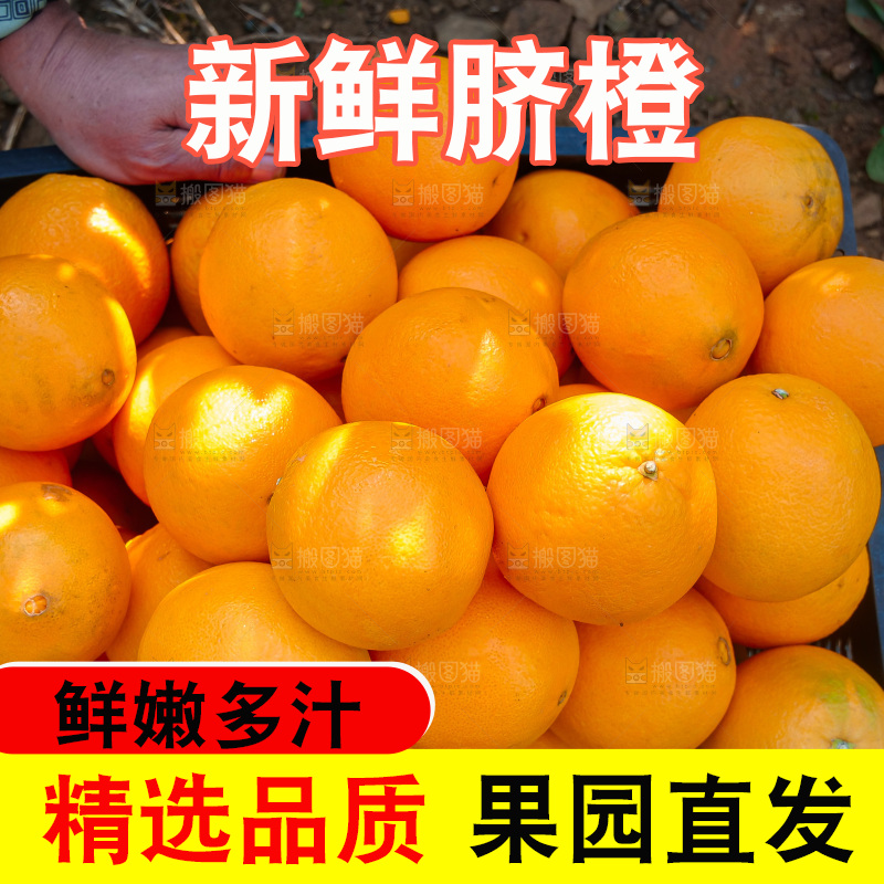 赣南脐橙