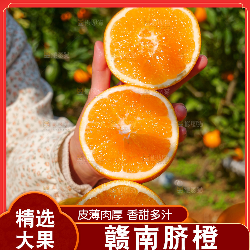 赣南脐橙