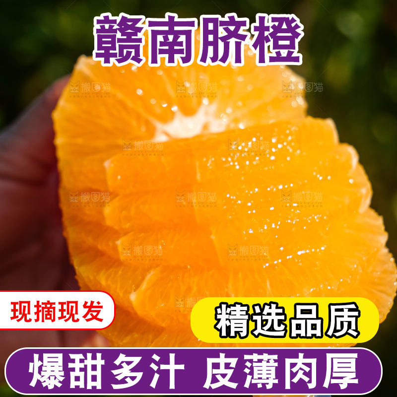 赣南脐橙