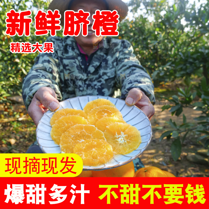 赣南脐橙