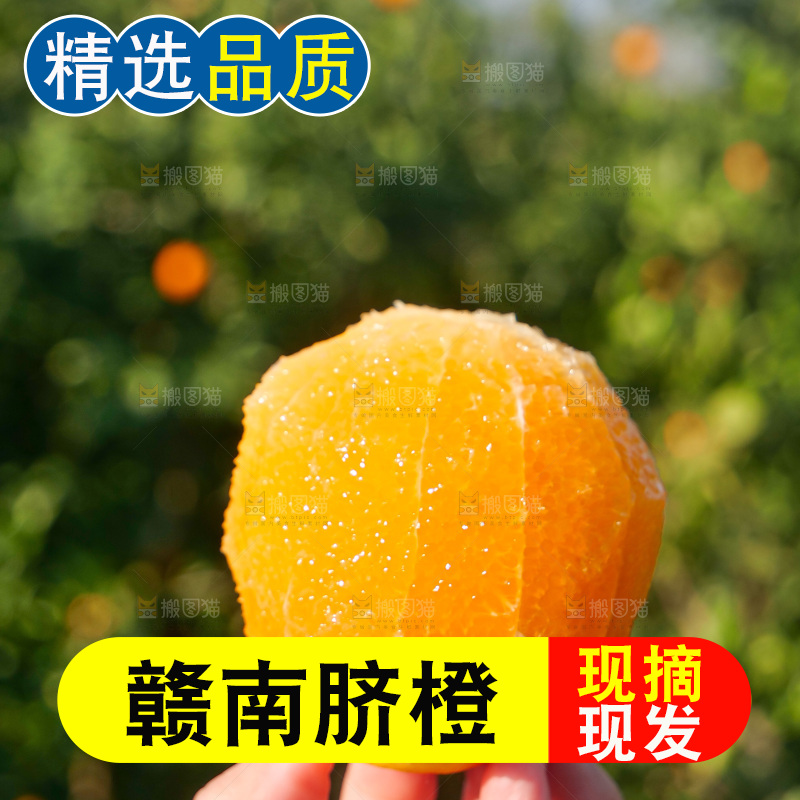 赣南脐橙