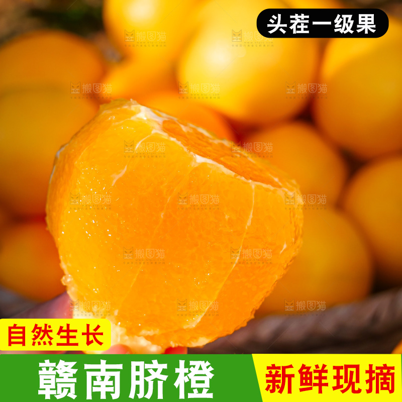 赣南脐橙