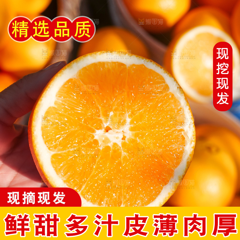 赣南脐橙