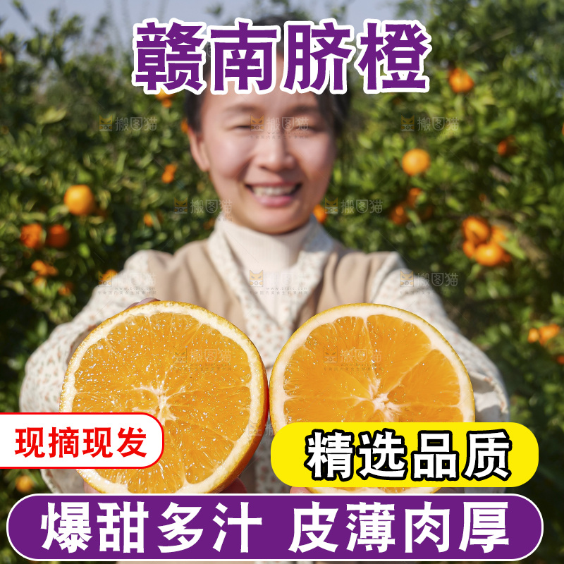 赣南脐橙