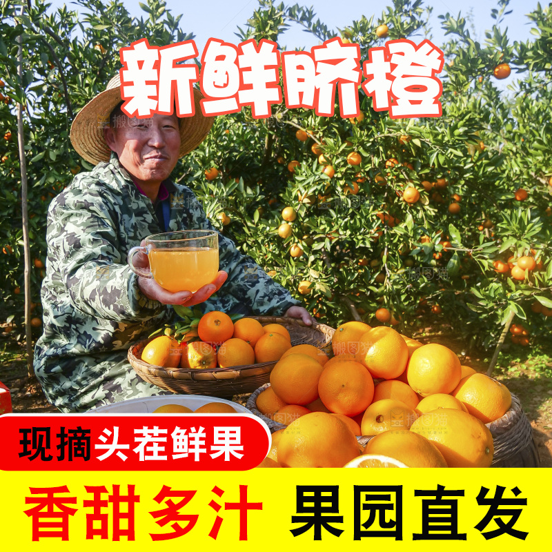 赣南脐橙