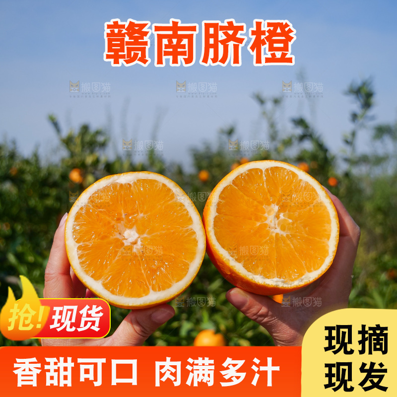 赣南脐橙