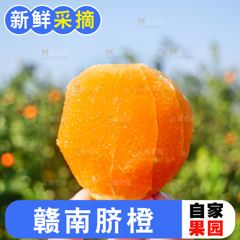 赣南脐橙