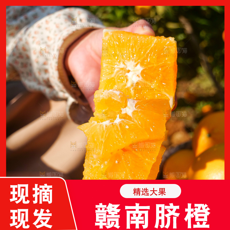 赣南脐橙