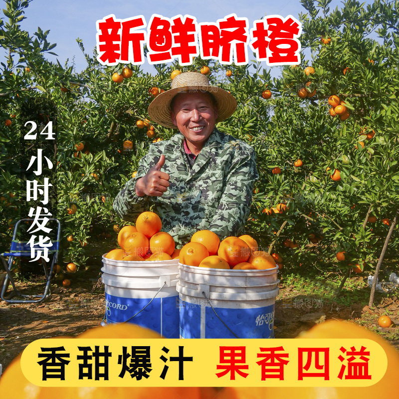 赣南脐橙