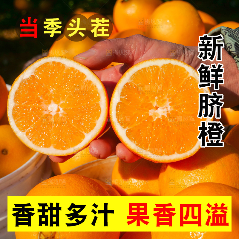 赣南脐橙