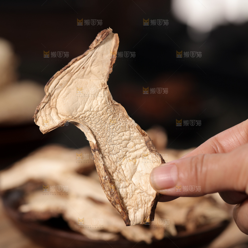 干松茸片