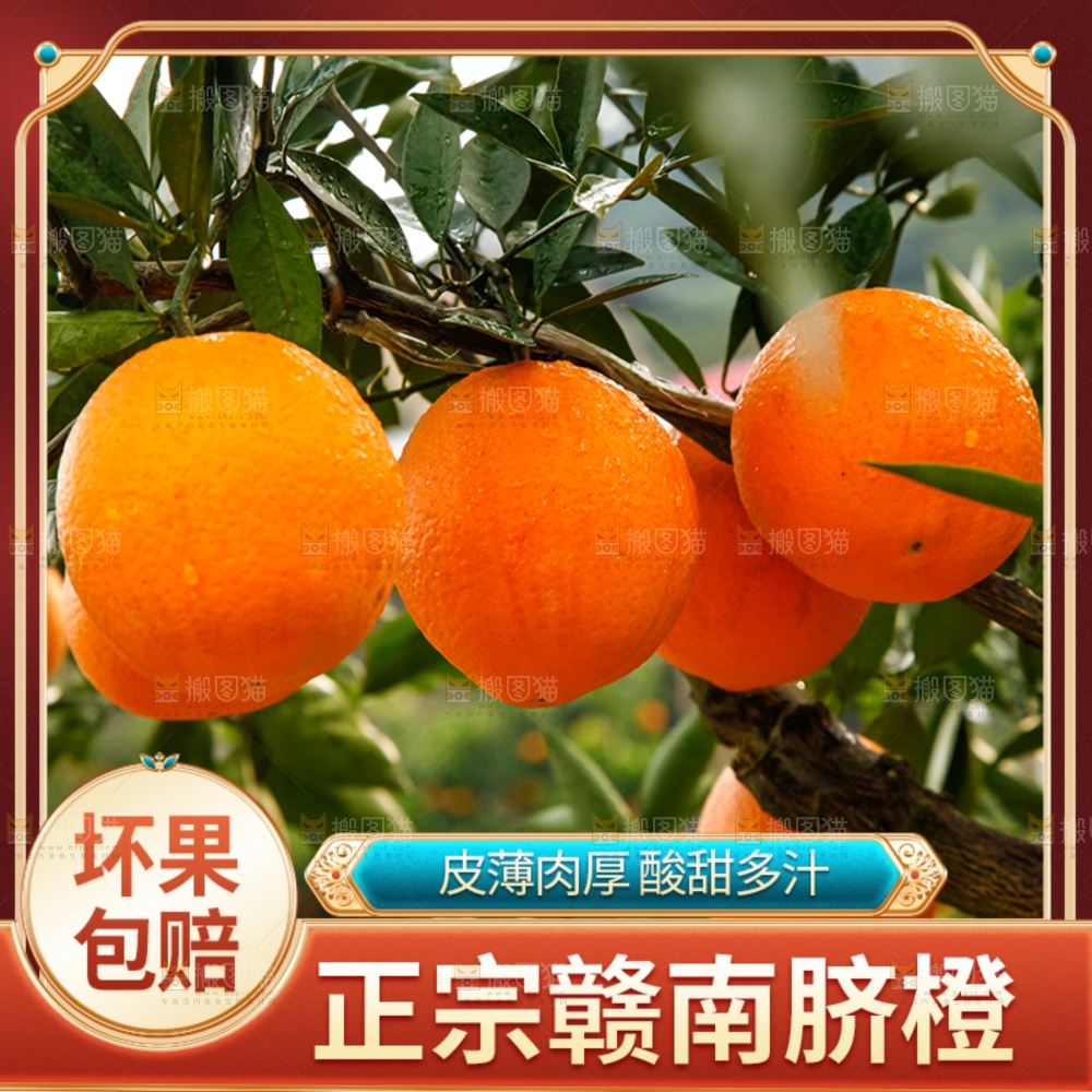 赣南脐橙主图