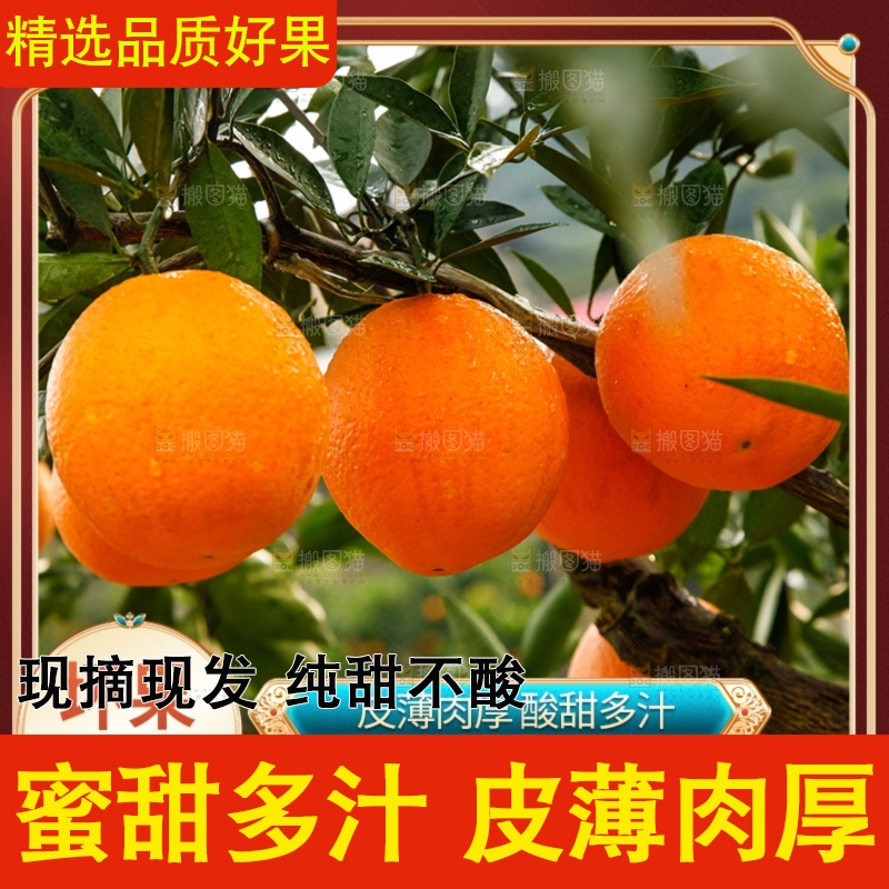赣南脐橙主图