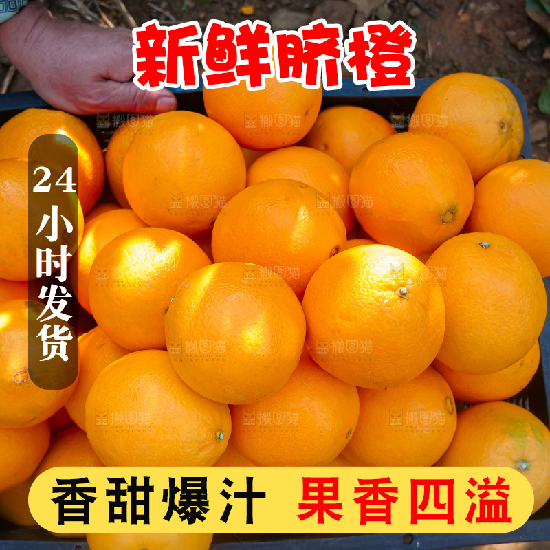 赣南脐橙