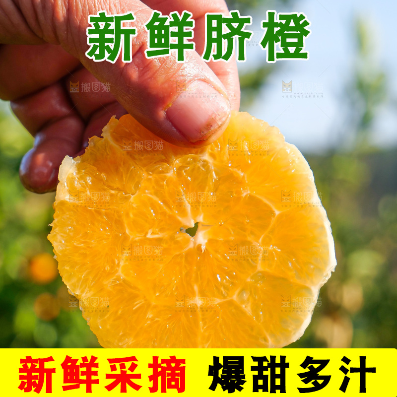 赣南脐橙
