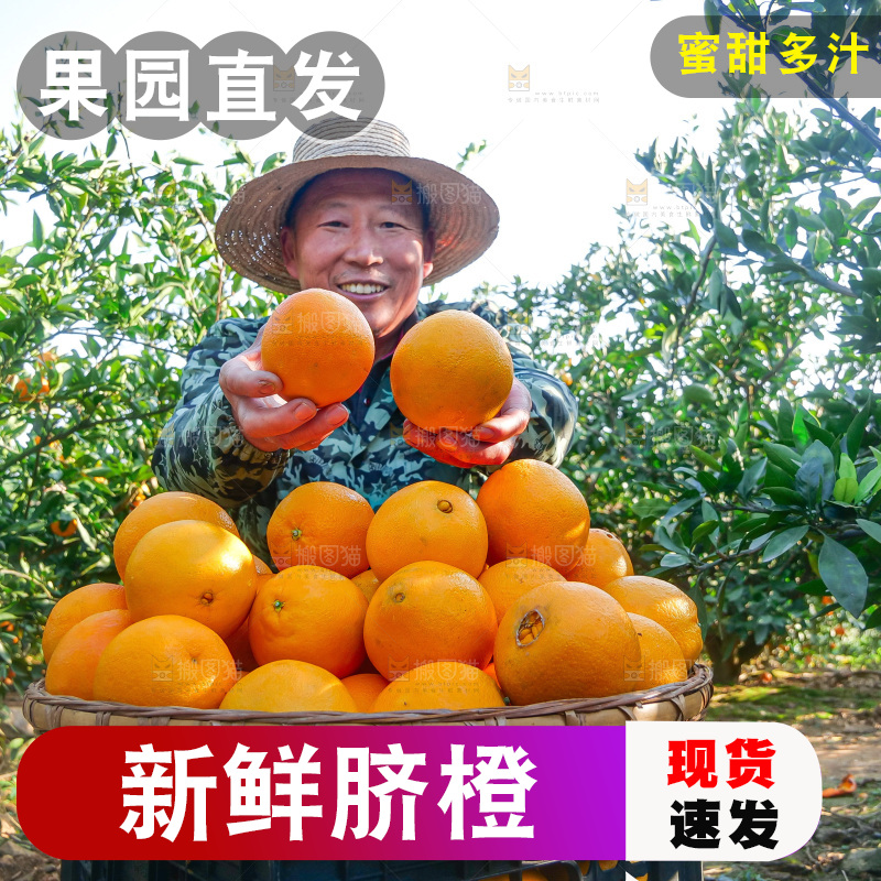 赣南脐橙