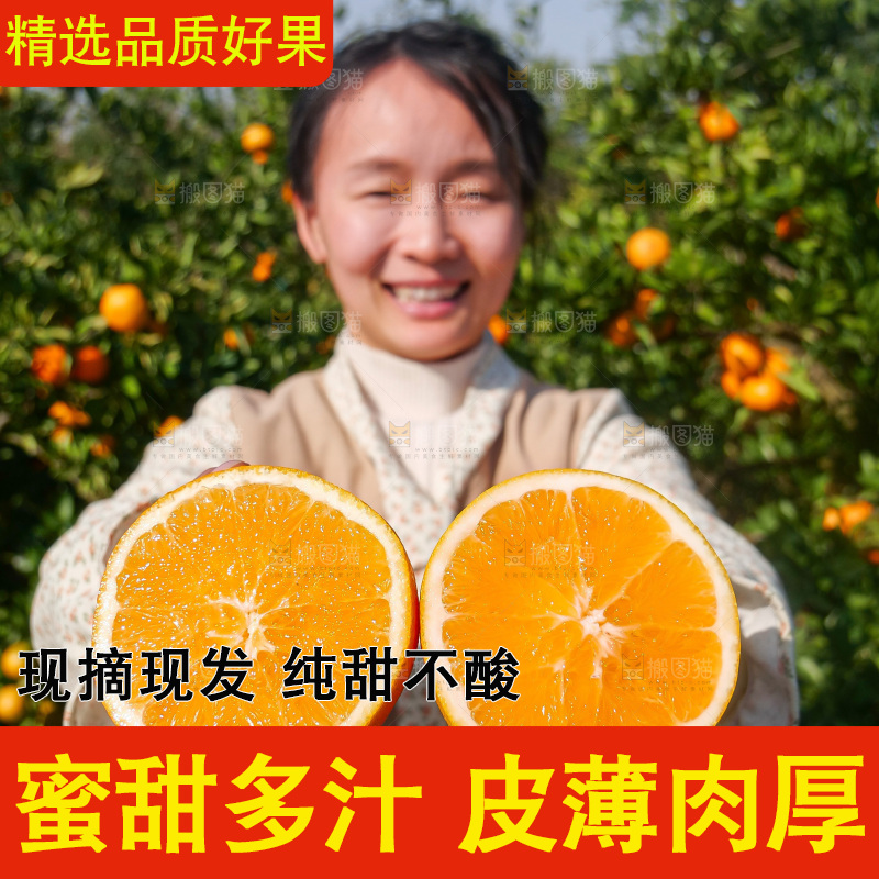 赣南脐橙
