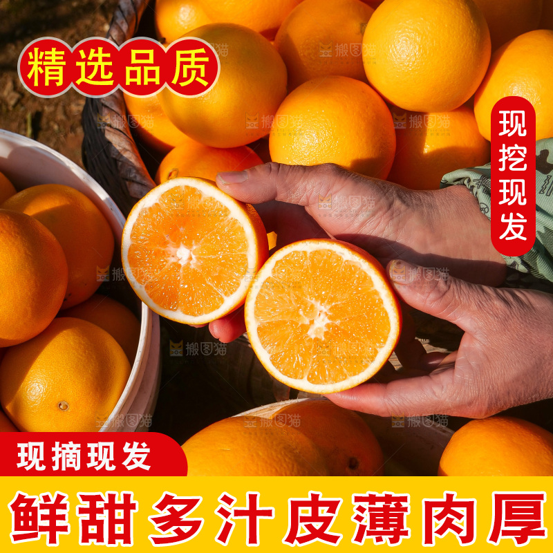 赣南脐橙