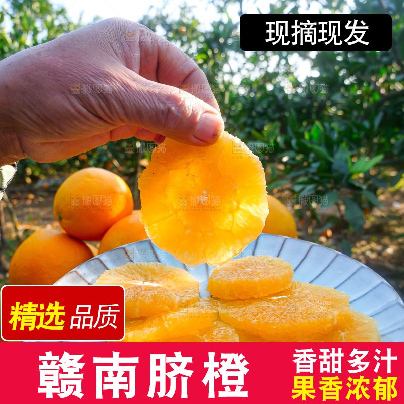 赣南脐橙