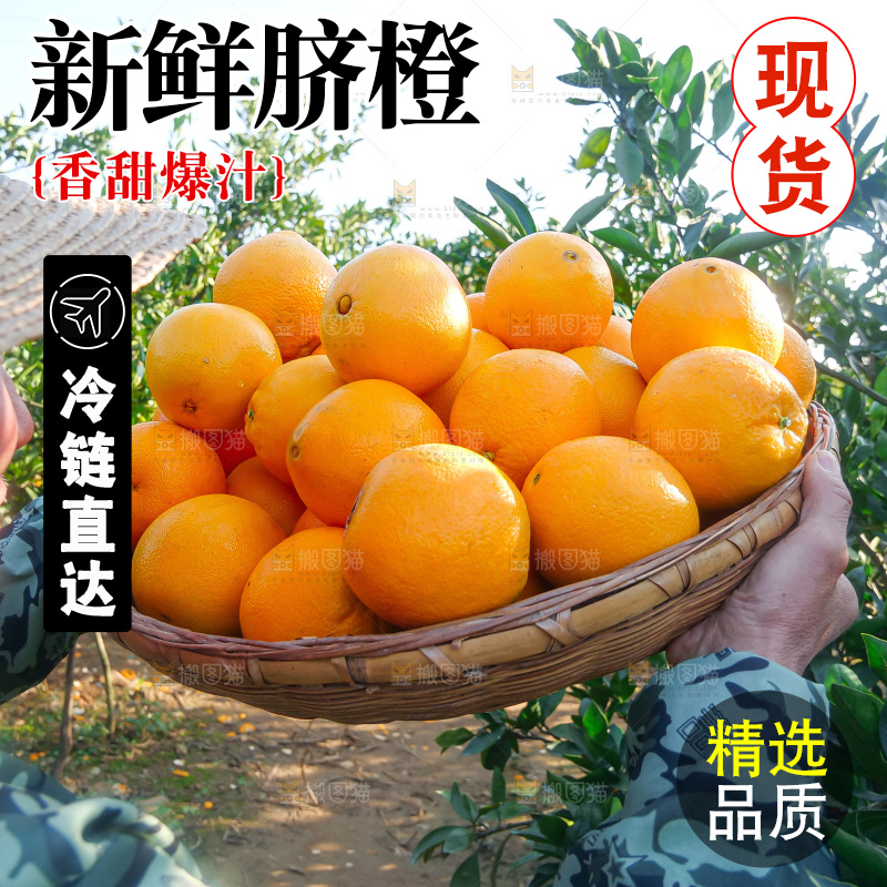 赣南脐橙