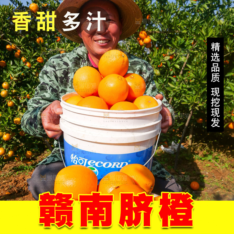赣南脐橙