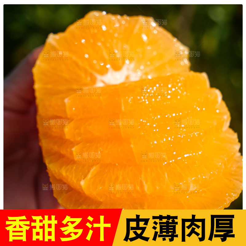 赣南脐橙