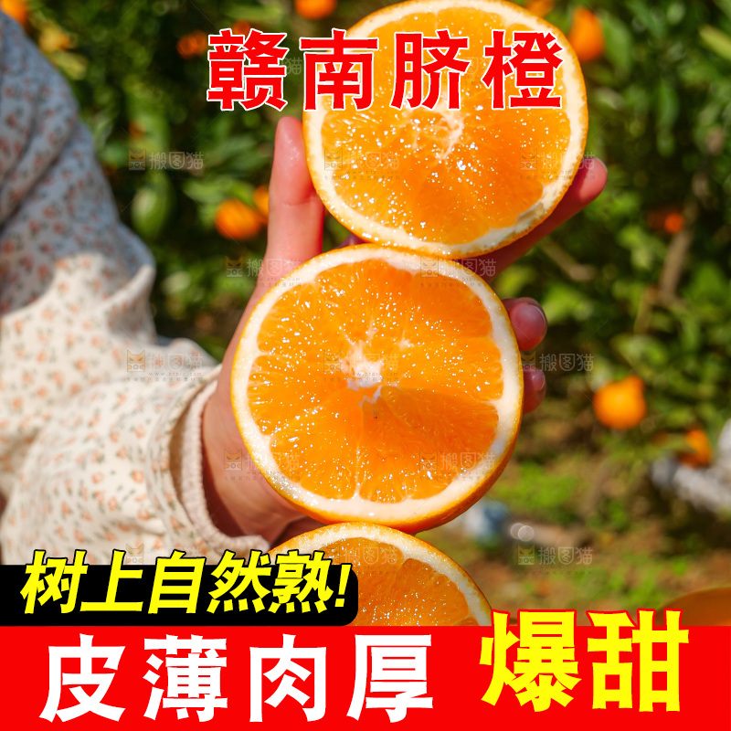 赣南脐橙