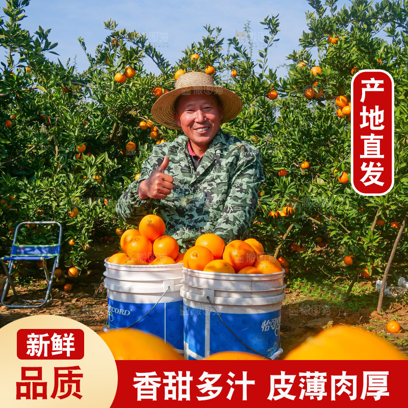 赣南脐橙