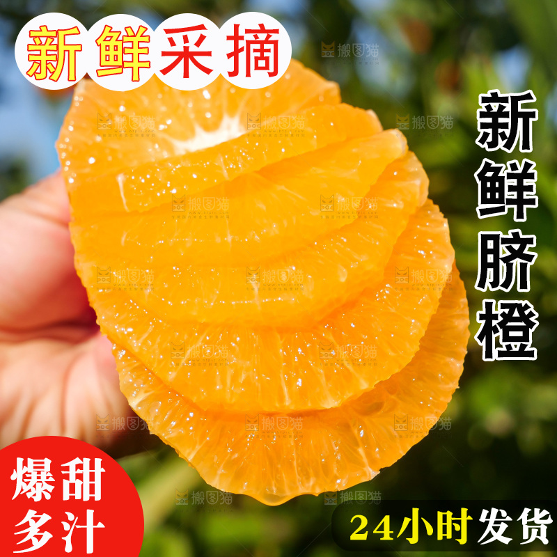 赣南脐橙