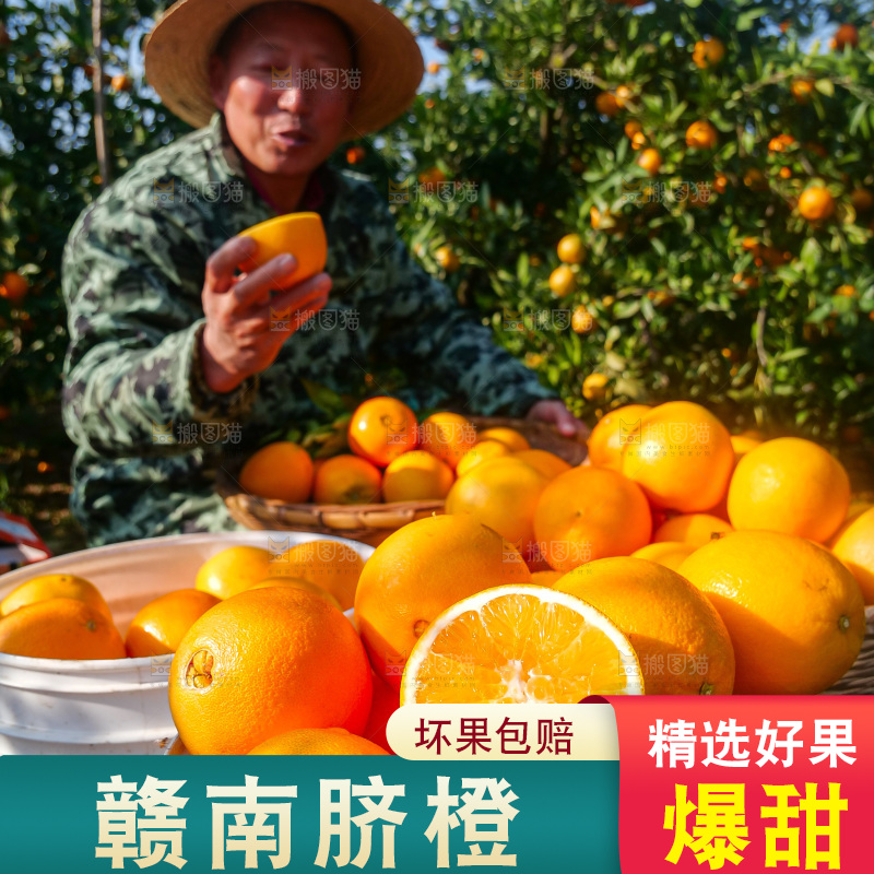 赣南脐橙