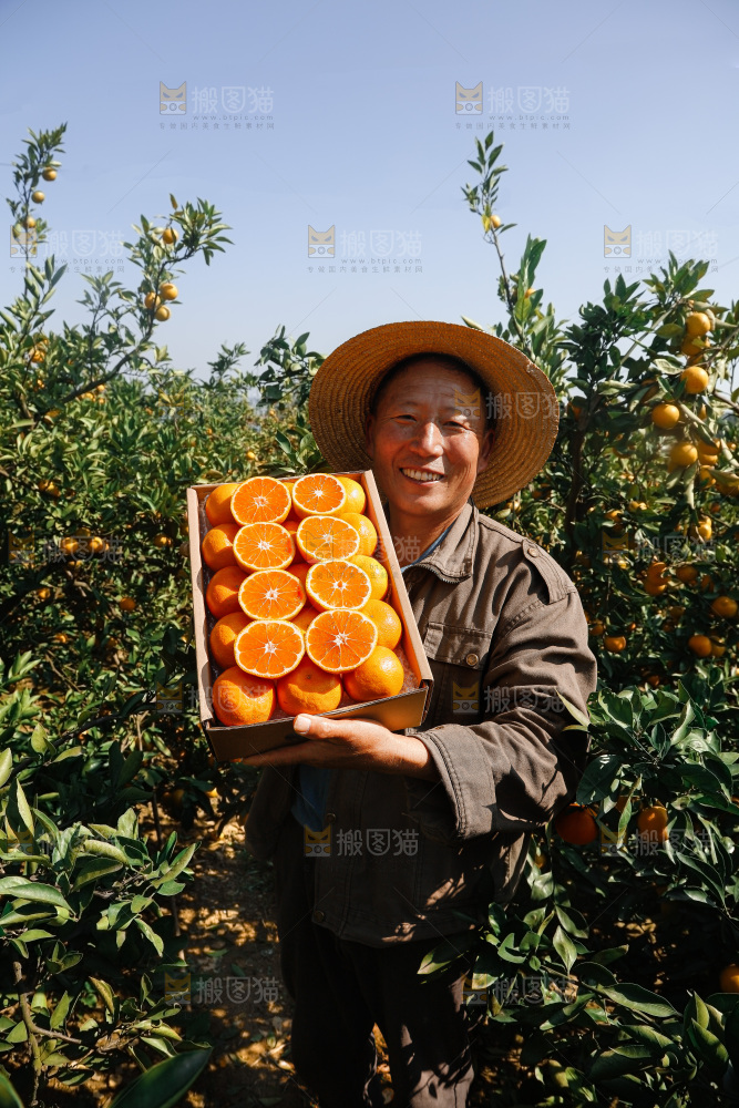 宜昌蜜桔