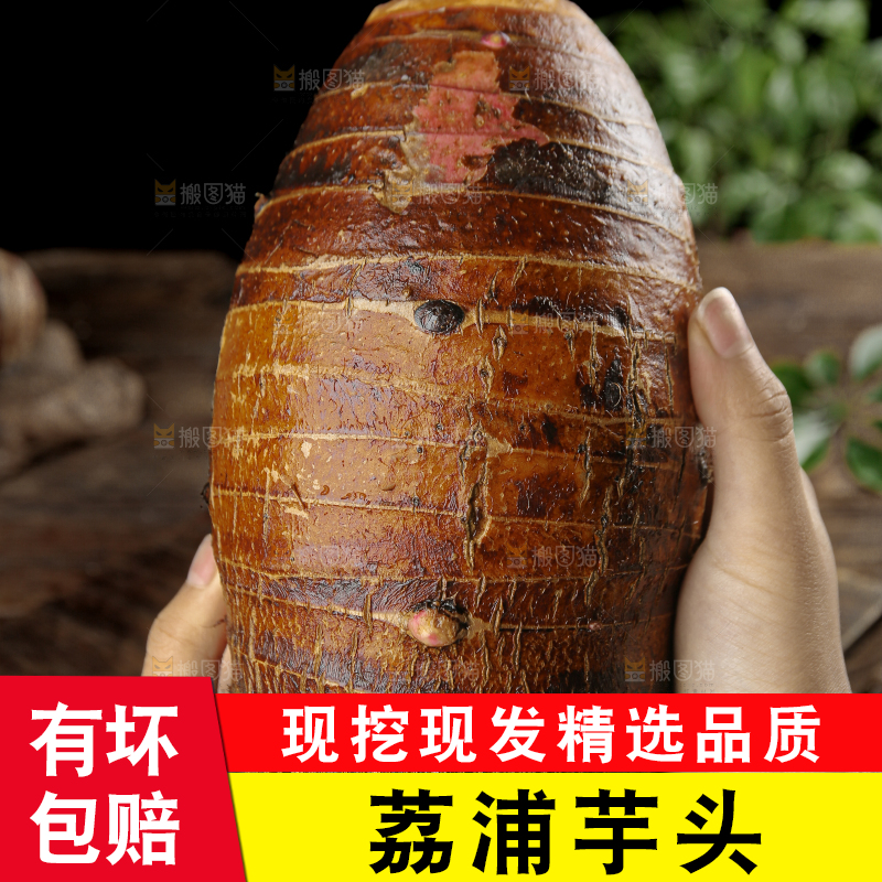 荔浦芋头