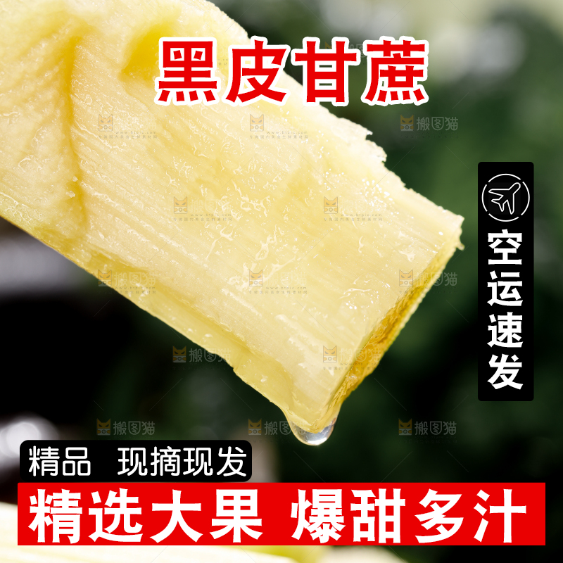 黑皮甘蔗
