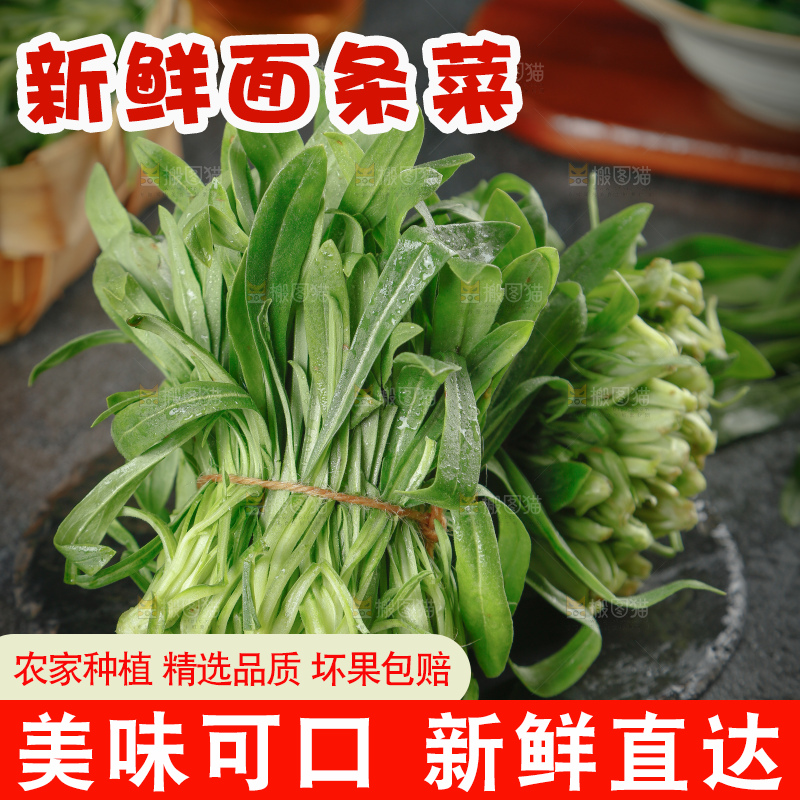 面条菜