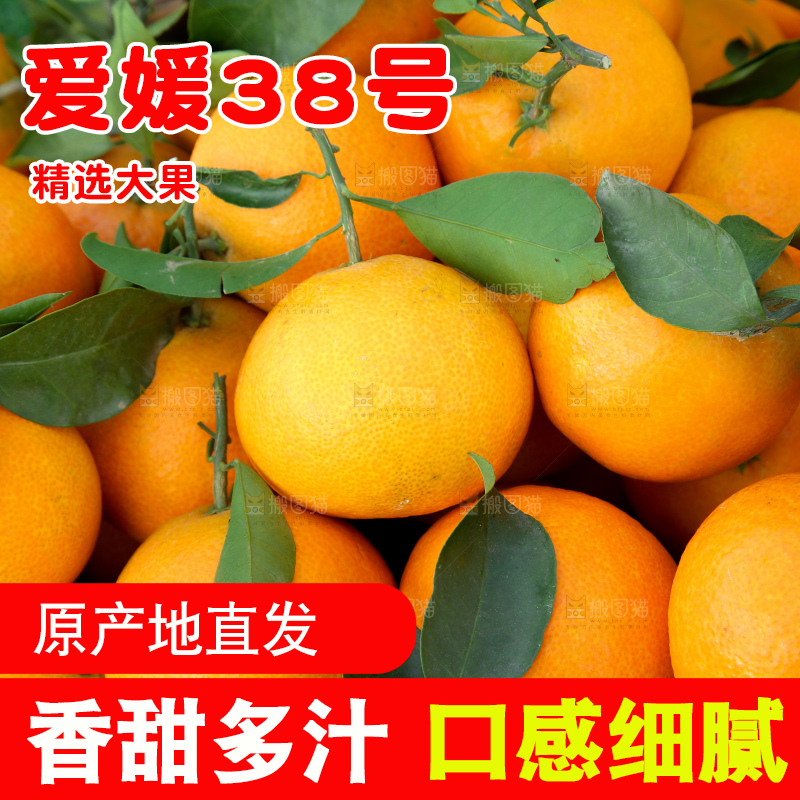 爱媛果冻橙