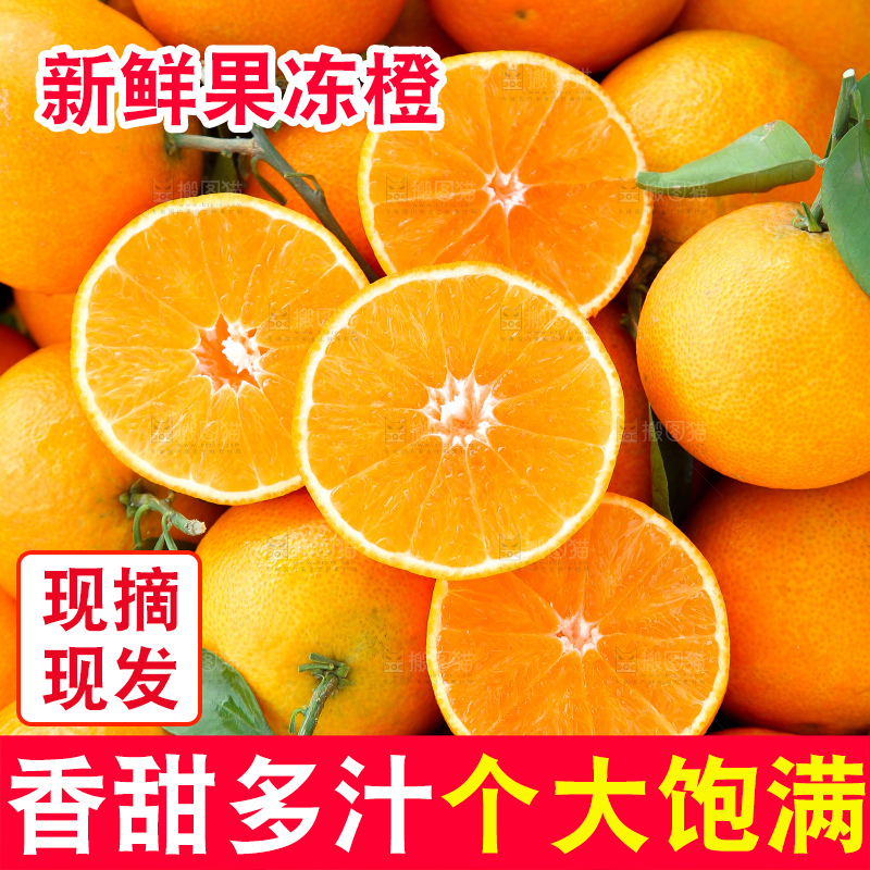 爱媛果冻橙