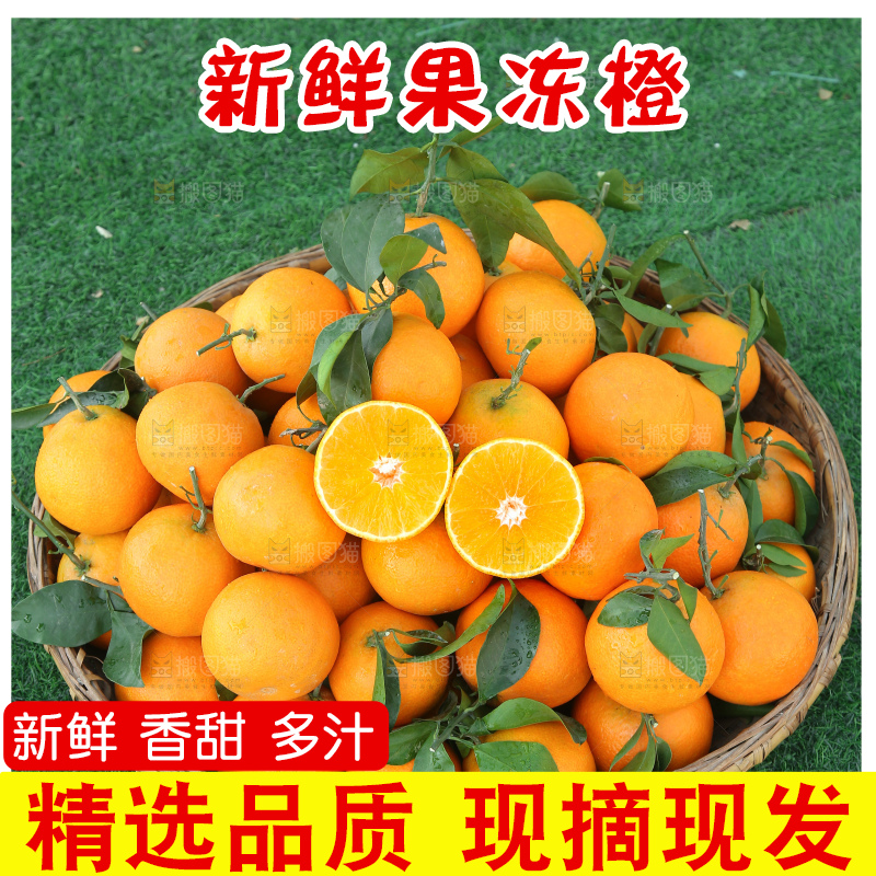 爱媛果冻橙