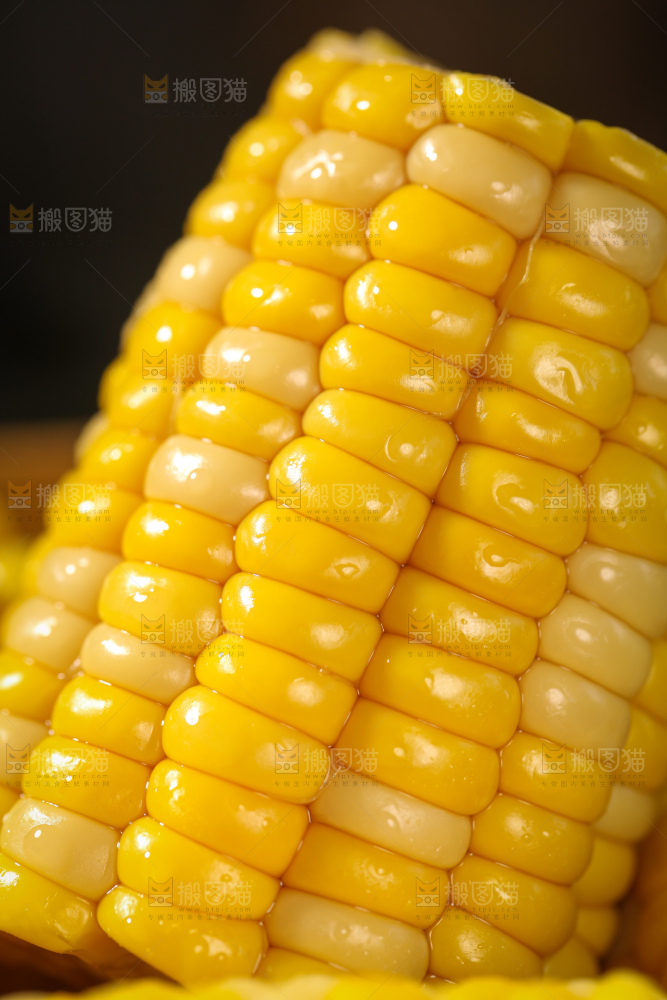 玉米段