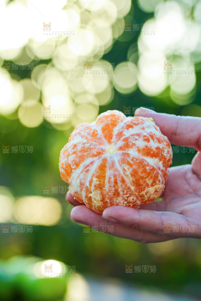 寻乌蜜桔