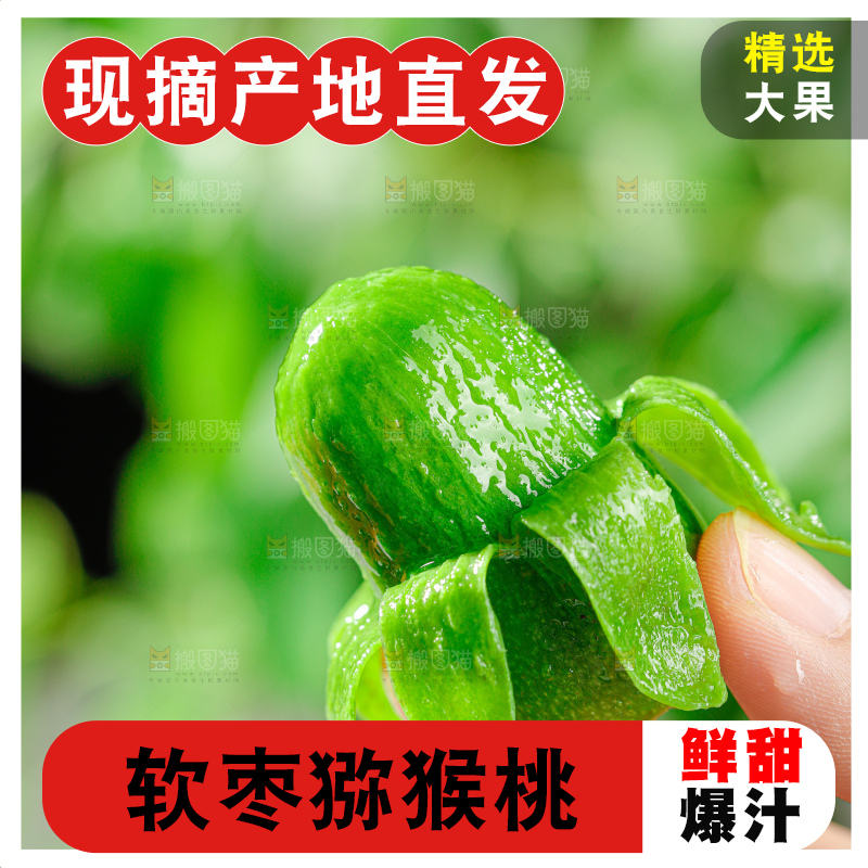 软枣猕猴桃