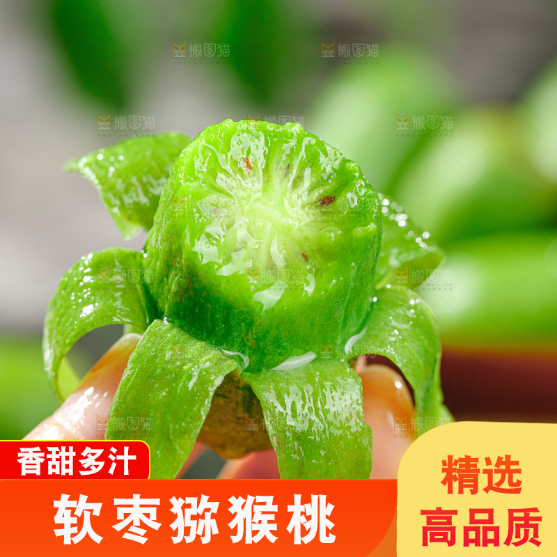 软枣猕猴桃