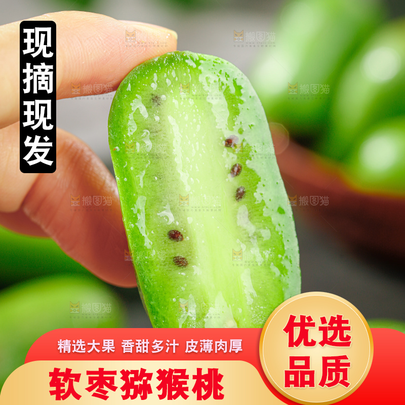 软枣猕猴桃
