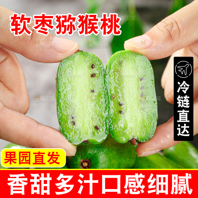 软枣猕猴桃