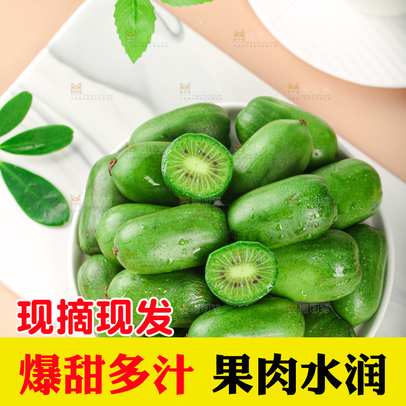 软枣猕猴桃