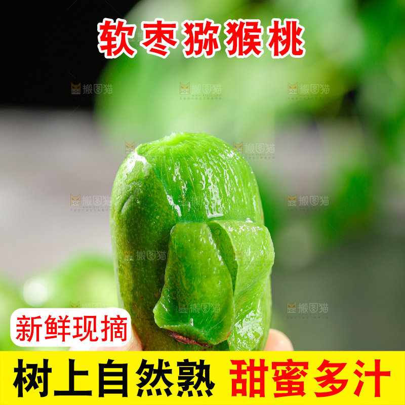 软枣猕猴桃