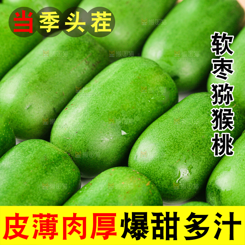 软枣猕猴桃