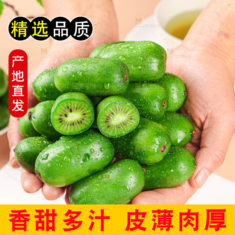 软枣猕猴桃