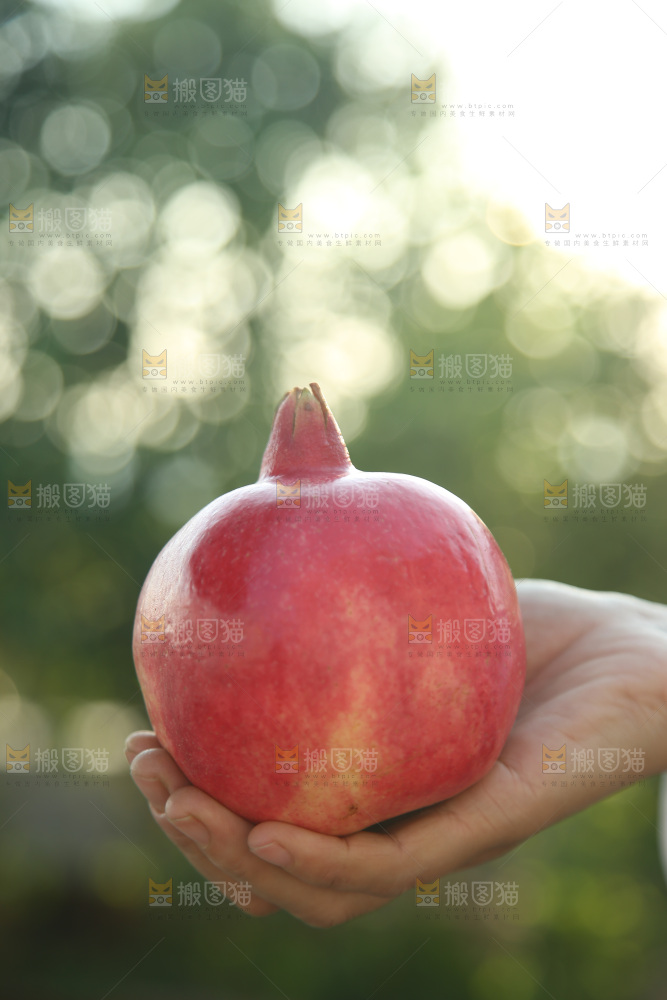 酸石榴