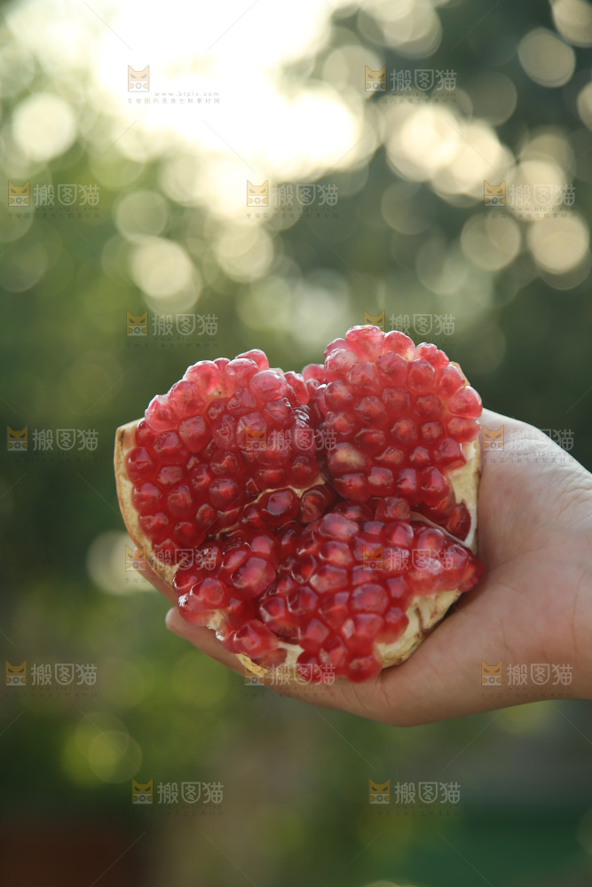 酸石榴