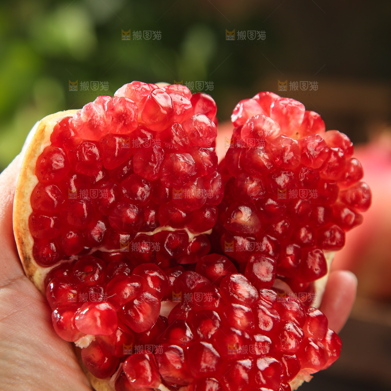 酸石榴